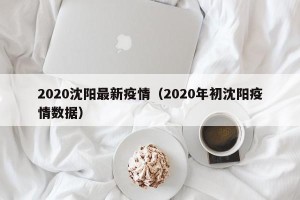 2020沈阳最新疫情（2020年初沈阳疫情数据）